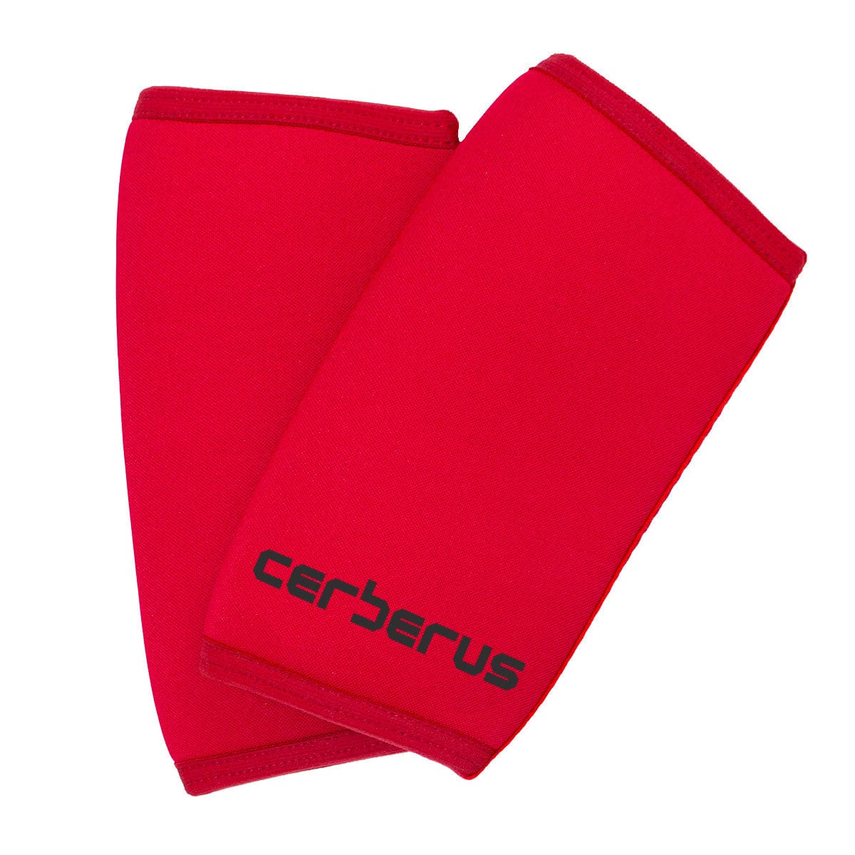 CERBERUS