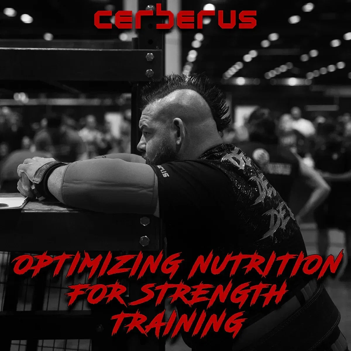 Powerlifting for Beginners: Essential Training Tips & Techniques