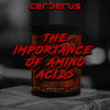 The Importance of Amino Acids