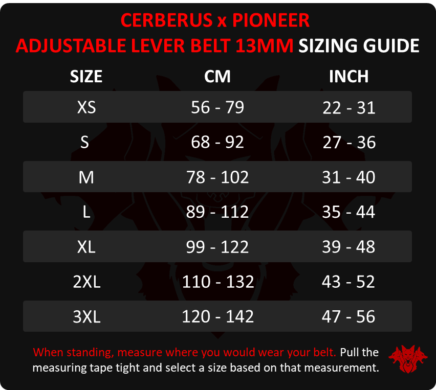 CERBERUS x Pioneer sizing guide