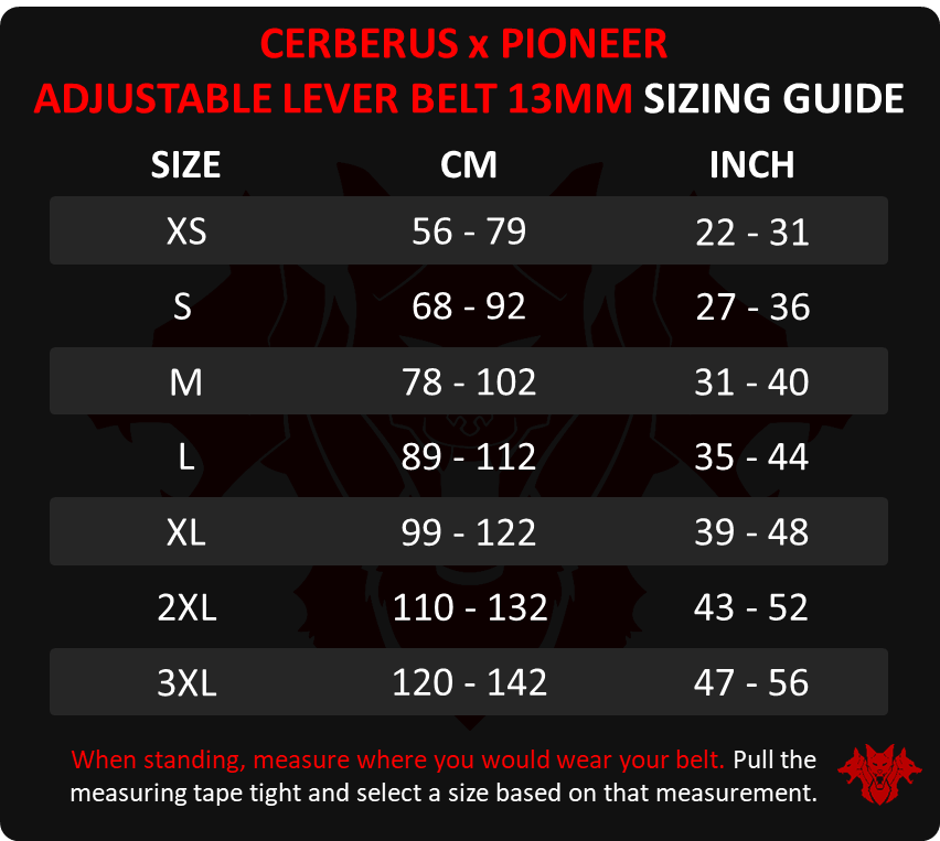 CERBERUS x Pioneer sizing guide