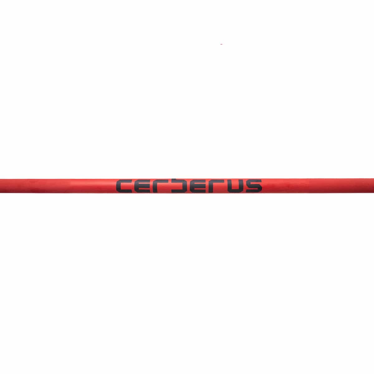 CERBERUS GP Bar