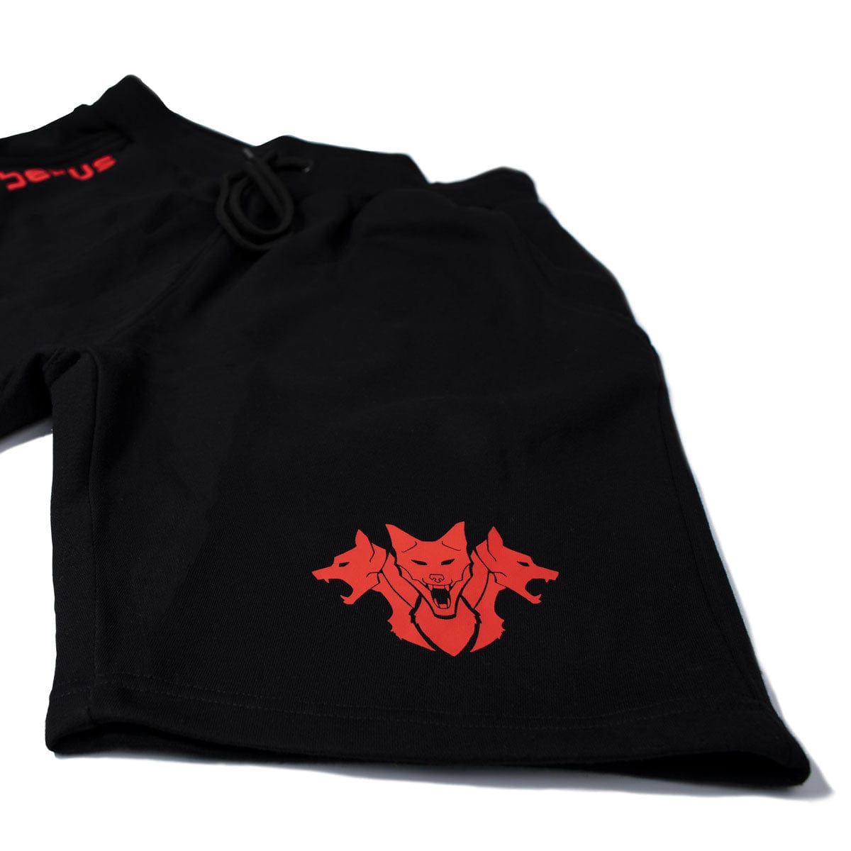 CORE Shorts